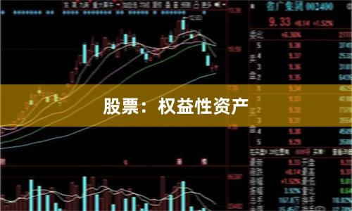 股票：权益性资产