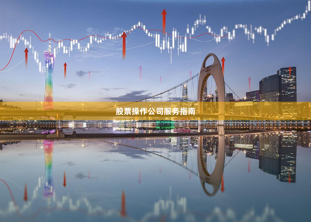 股票操作公司服务指南
